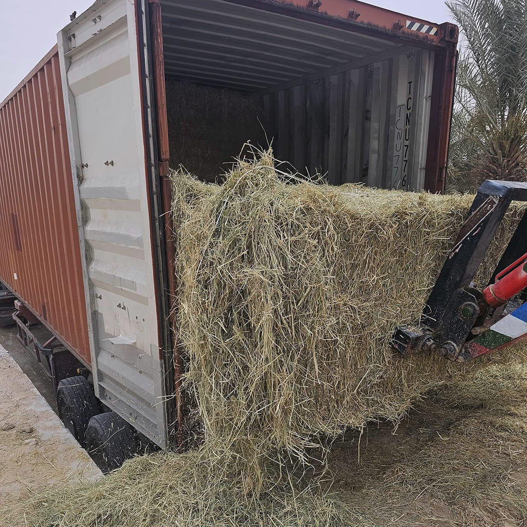 animal forage suppliers