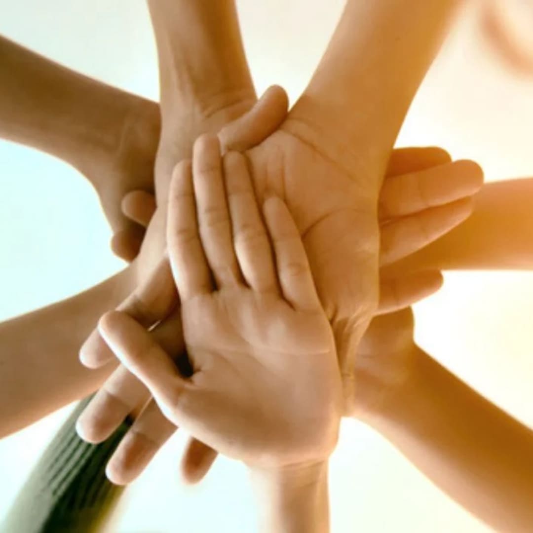 animal forage suppliers