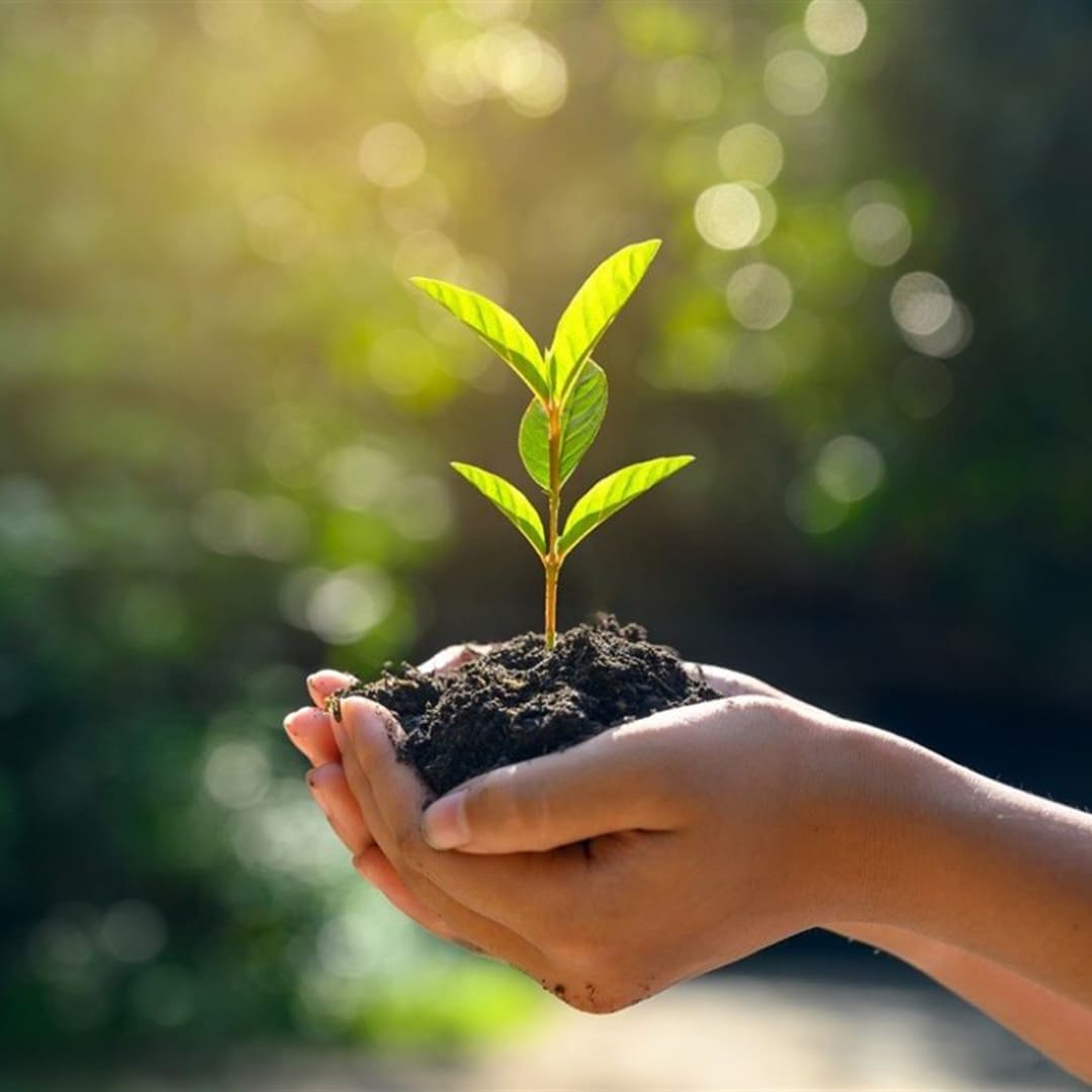 animal forage suppliers