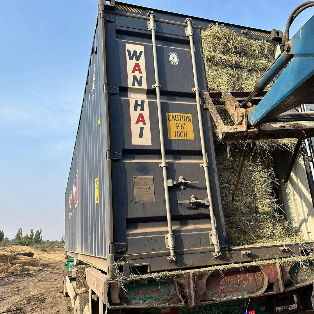 animal feed solutions