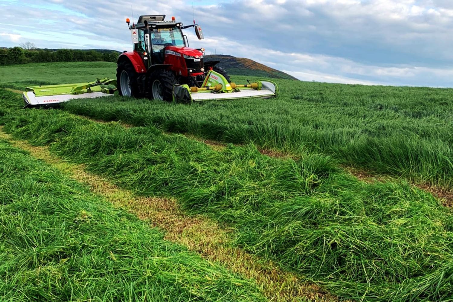 animal forage suppliers