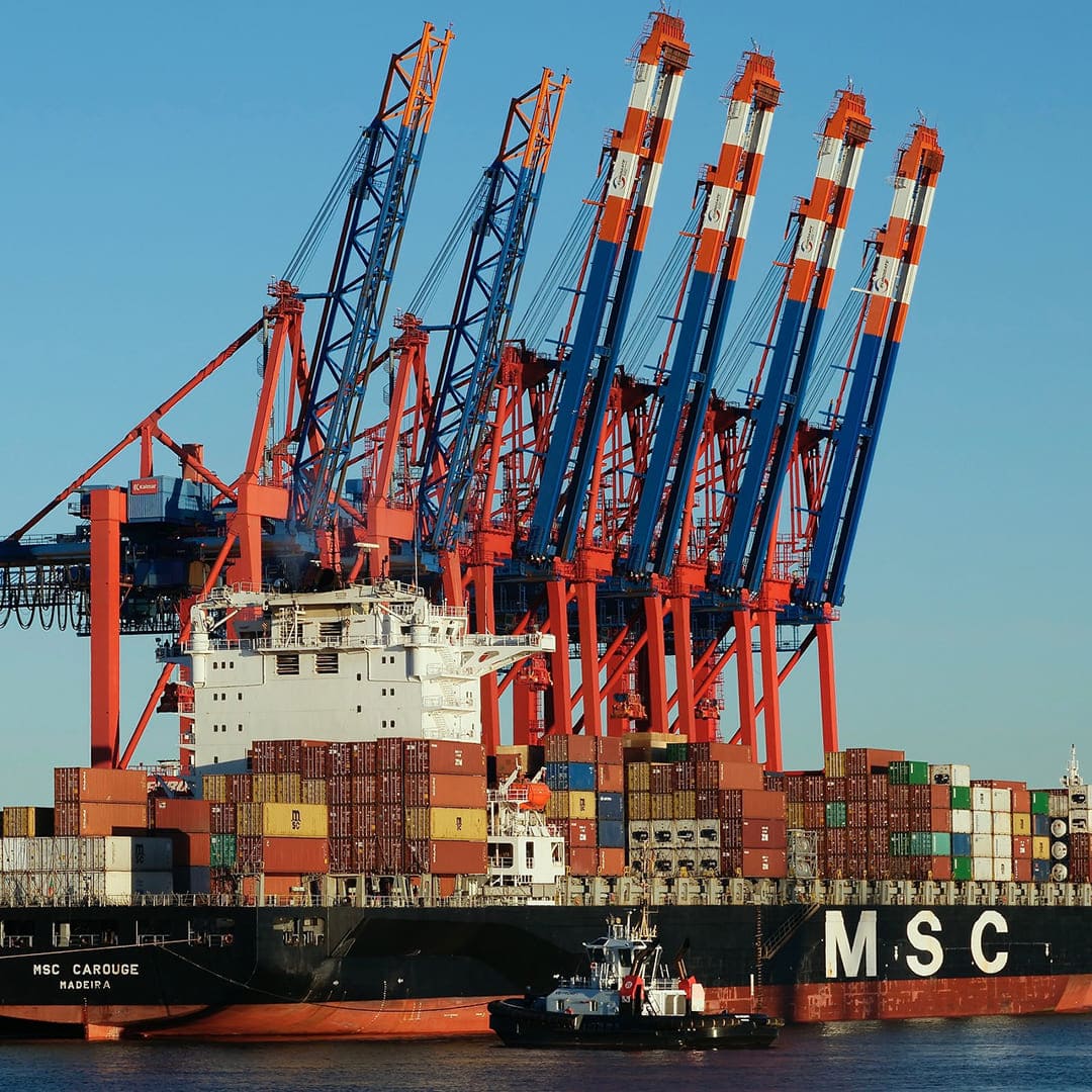 animal feed solutions