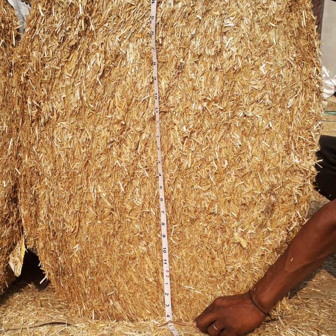 animal feed, lentil straw