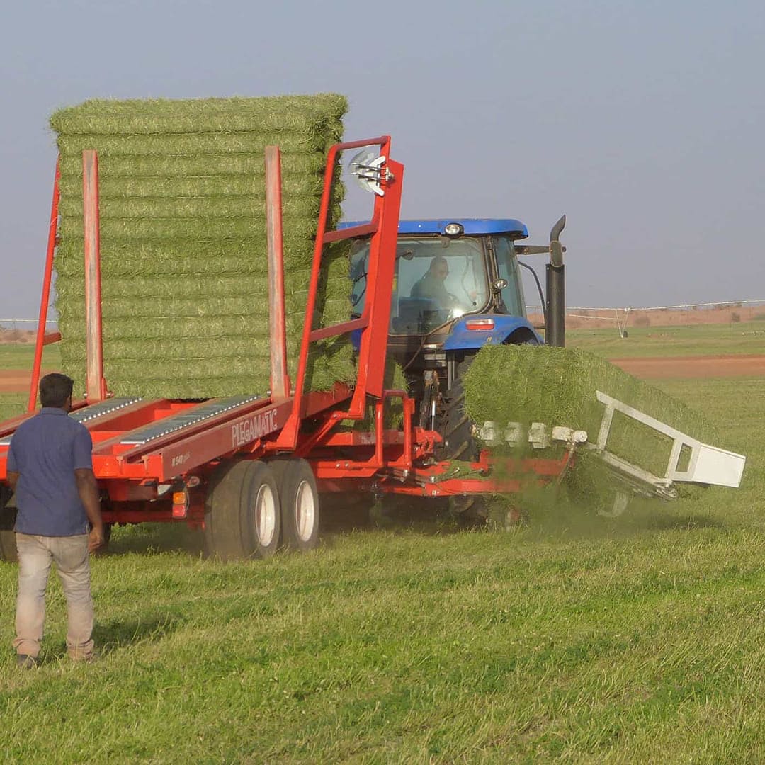 animal feed solutions