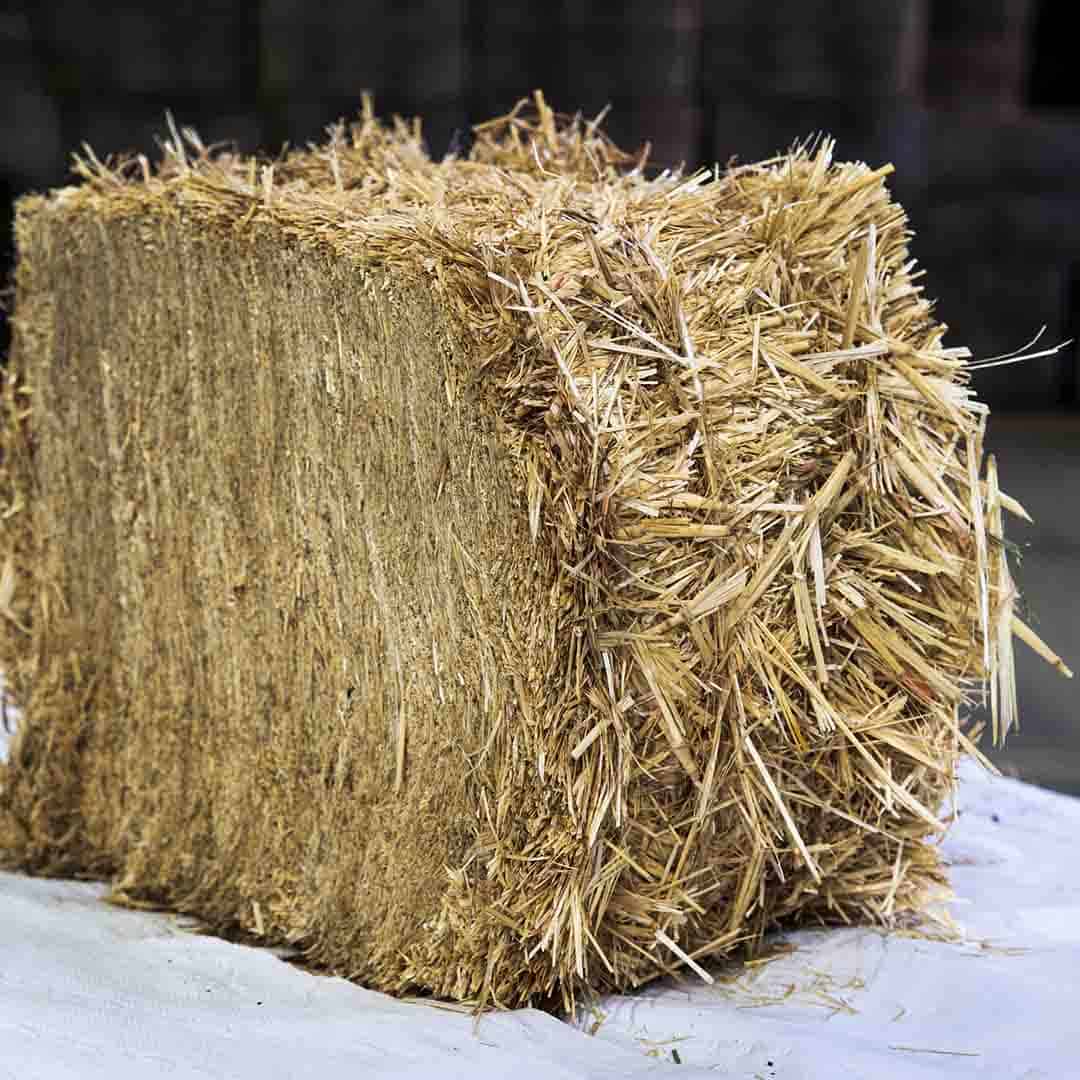 animal feed, wheat straw